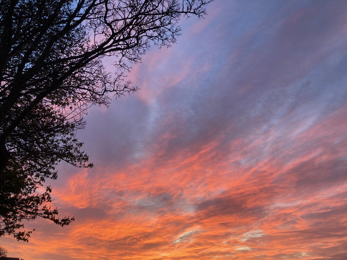 Faith Young Writer tweet media