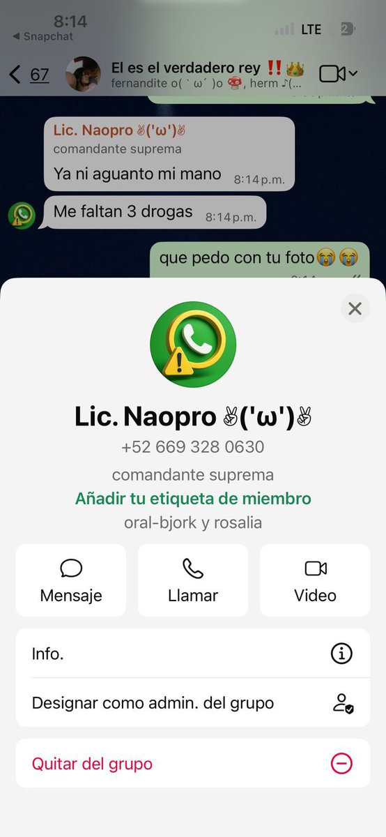 maruchin💕 tweet media