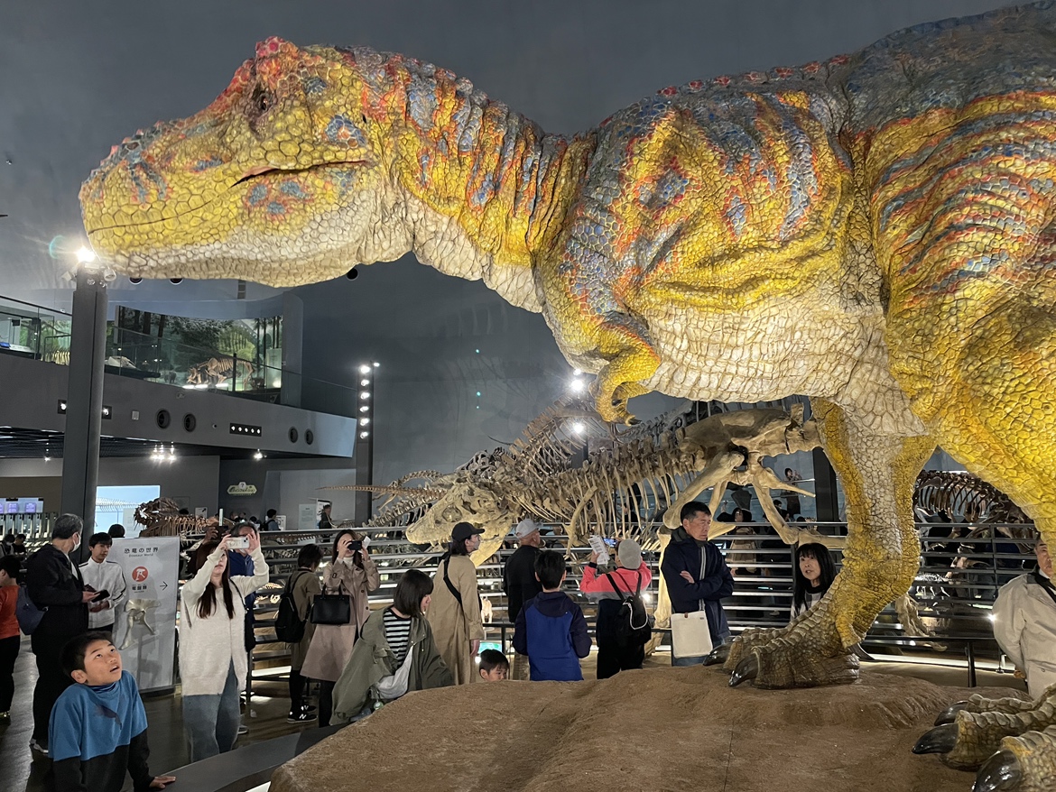 AOI_HOLDINGS's tweet image. 4月16日(木)福井市の天気：☀️
おそようございます📷
先日恐竜博物館へ行ってきました🦖
改めて化石もすごかったですが、動く恐竜は迫力がありますね！！
aoiaoi.co.jp/recruit/
#Audi #BMW #MINI #輸入車 #中古車 
#恐竜博物館
#企業公式相互フォロー
#企業公式が毎朝地元の天気を言い合う