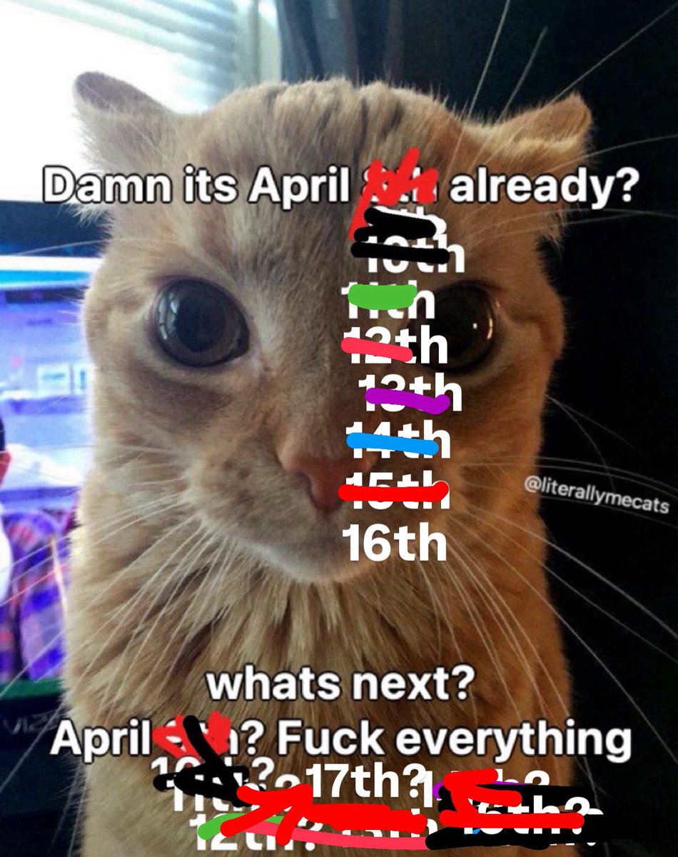 literallymecats's tweet photo. https://t.co/gTAGKlwEoA