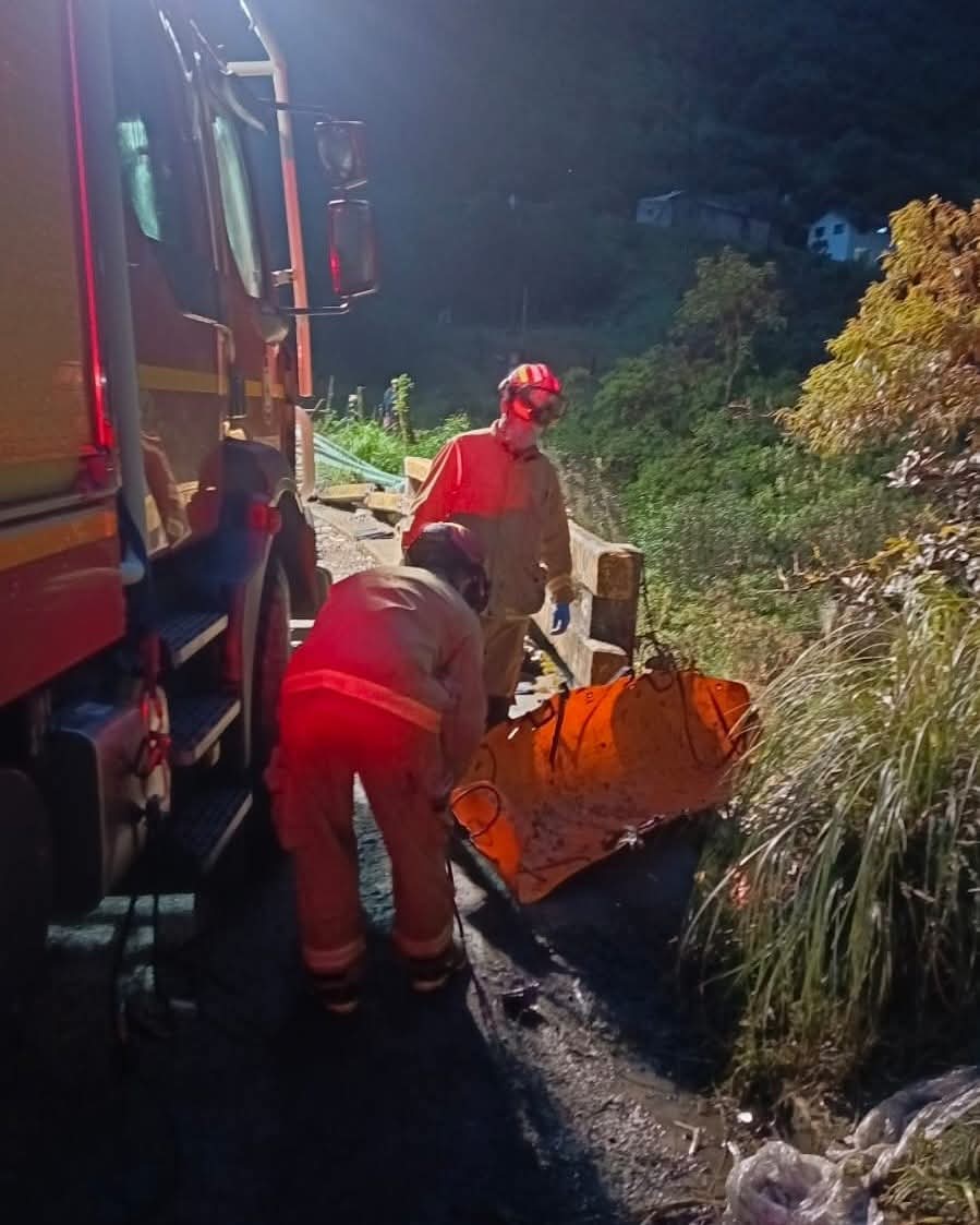 RodrigoMatuteTorres tweet media