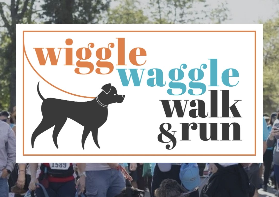 gonna get our lazy ass up EARLY this weekend for a good cause 🐾🐕🐶🚶‍♂️
#WiggleWaggleWalk2026