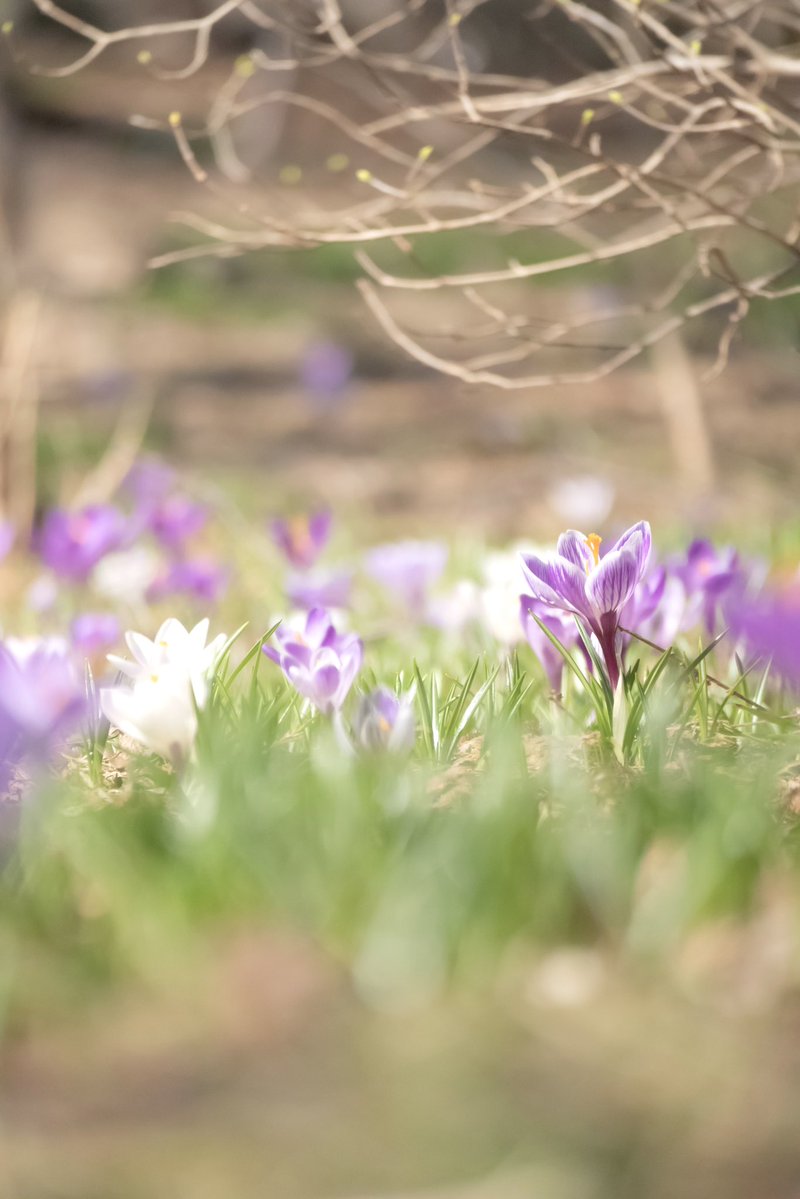 mituki_ai tweet media