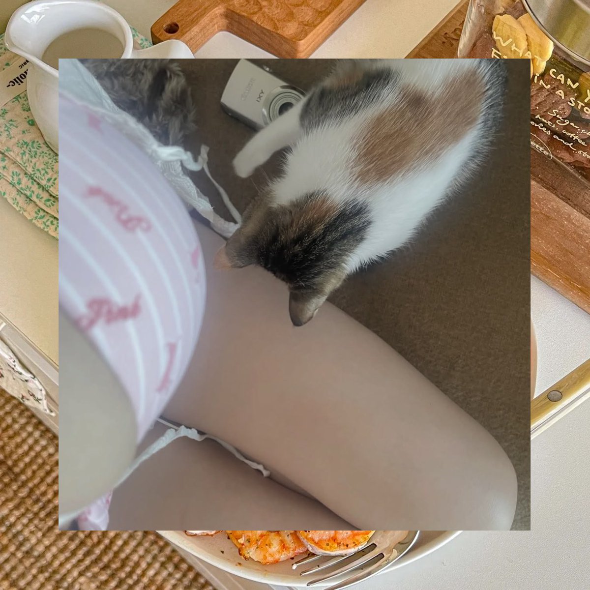 Ryan West tweet media