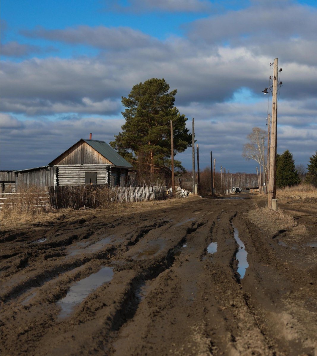Алёна Попова tweet media