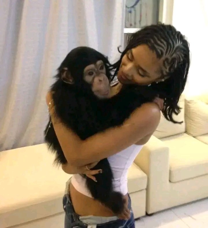 Olivia Sullivan tweet media