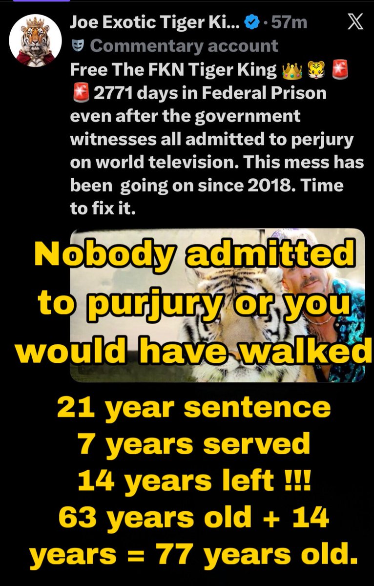 TIGERQUEEN tweet media