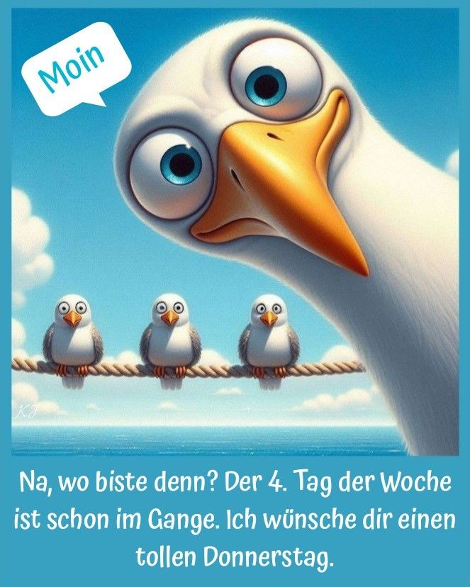 Eichhörnchen Fan 🐿🐿🇩🇪🇩🇪 tweet media