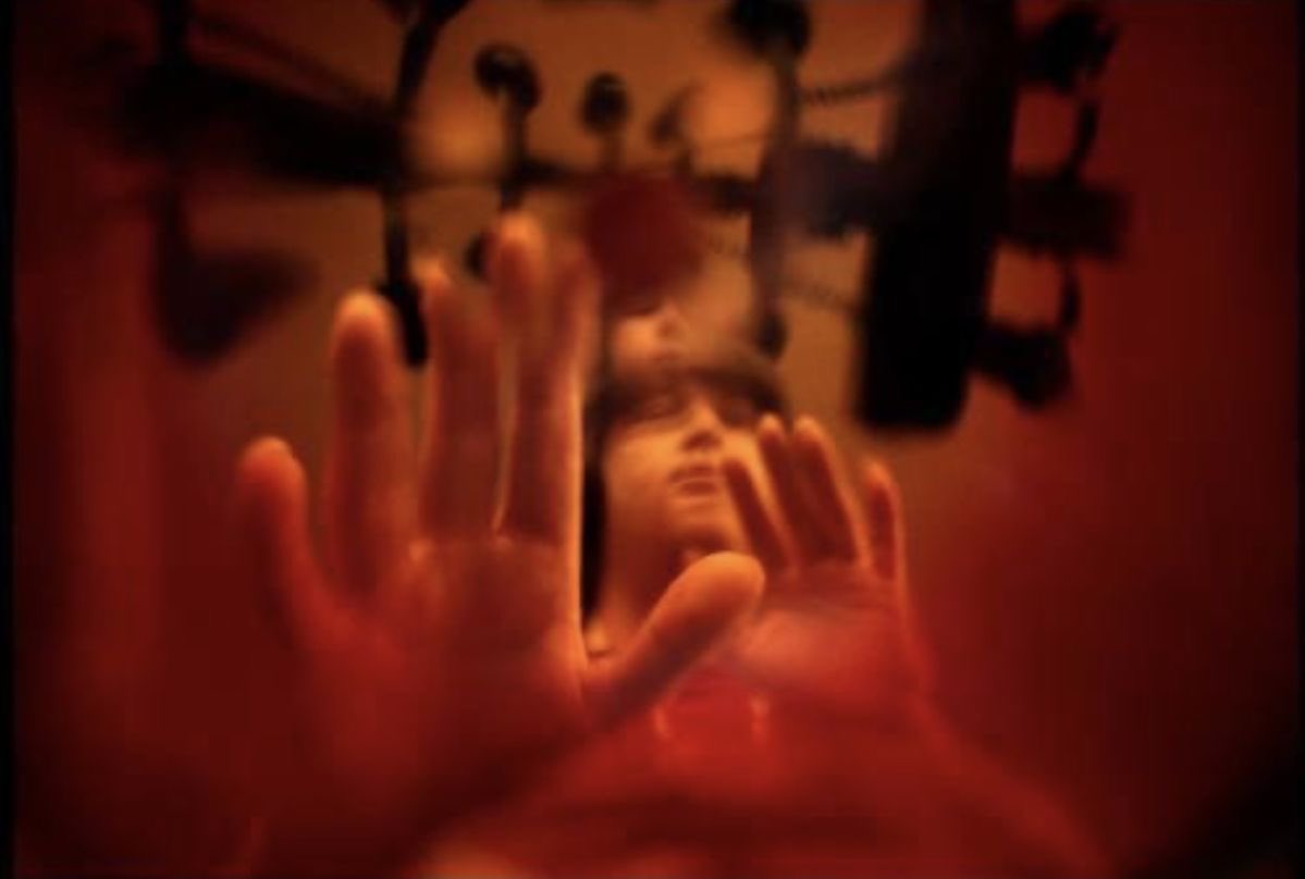 adrian // #1 Brian Wilson truther tweet media