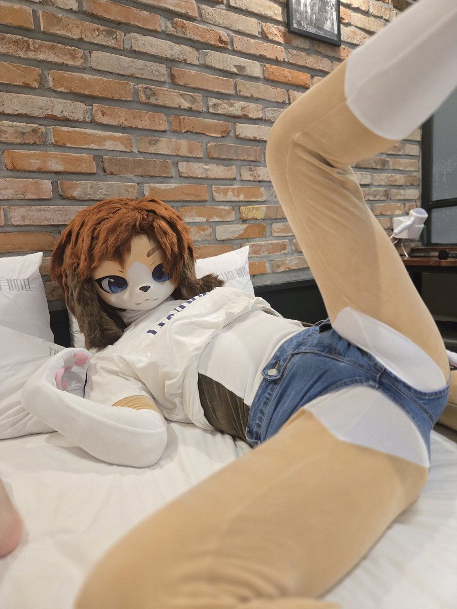 비블리오 tweet media