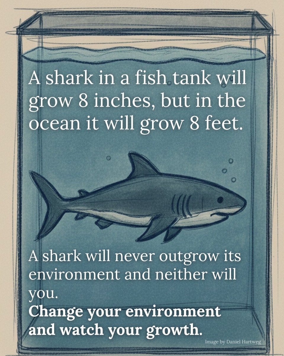 smart tips2.0 tweet media