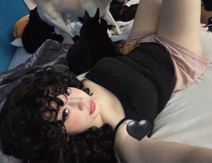 nemonemo tweet media