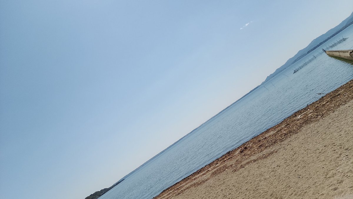 零🐀ラスシュー tweet media