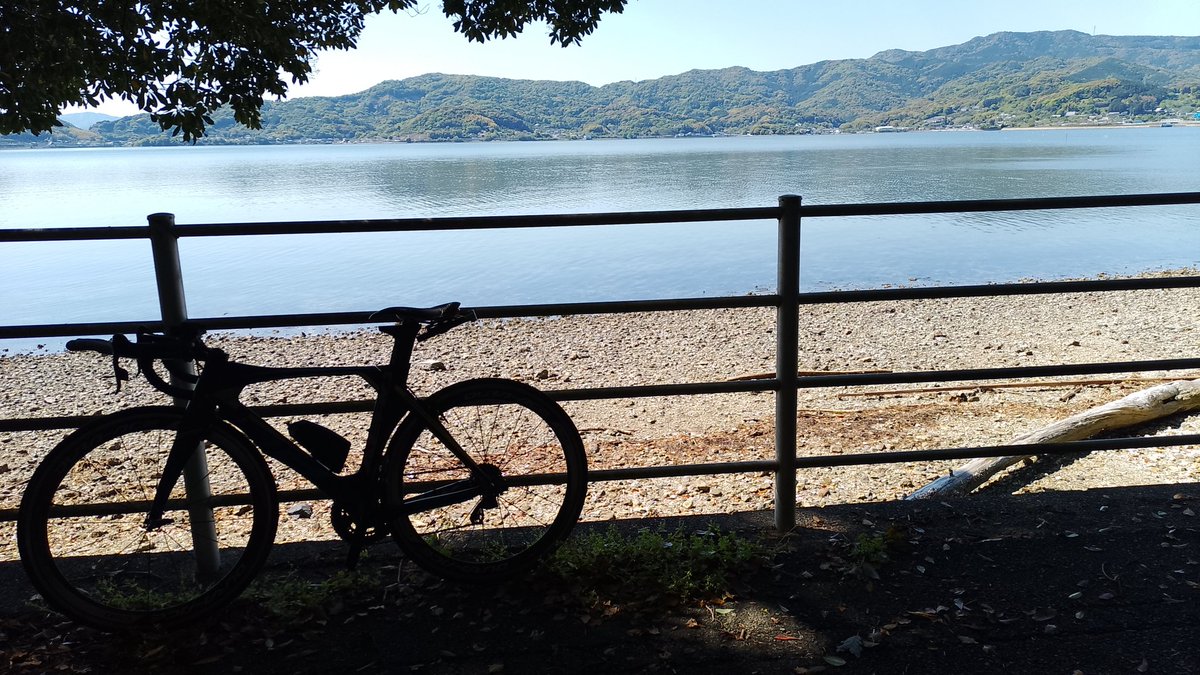 零🐀ラスシュー tweet media