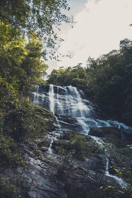 Nicolas Le tweet media