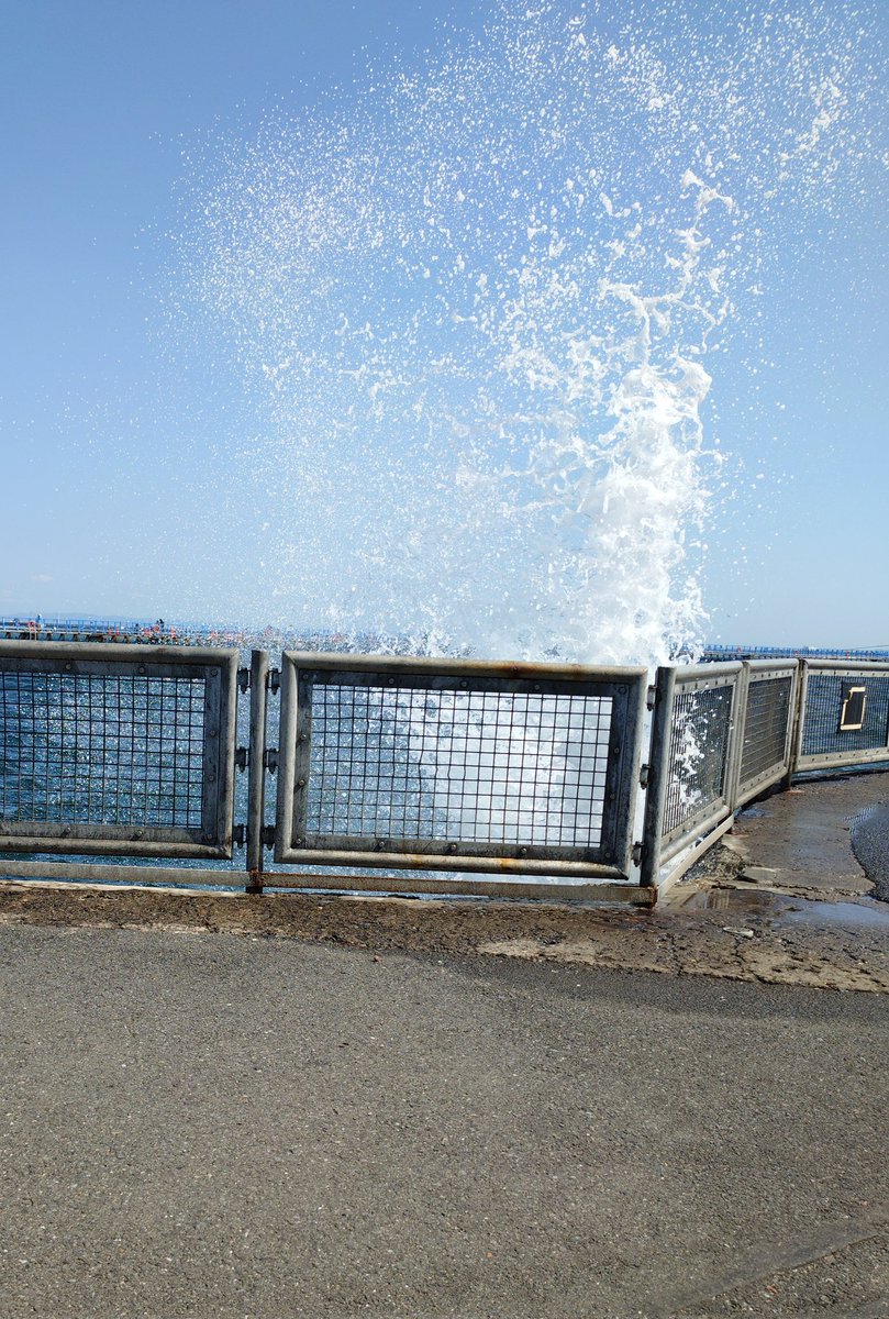 釣りおばさん tweet media