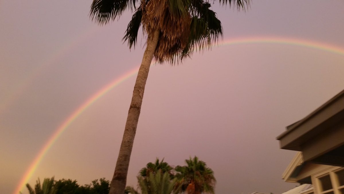 Eric the Cavalier tweet media