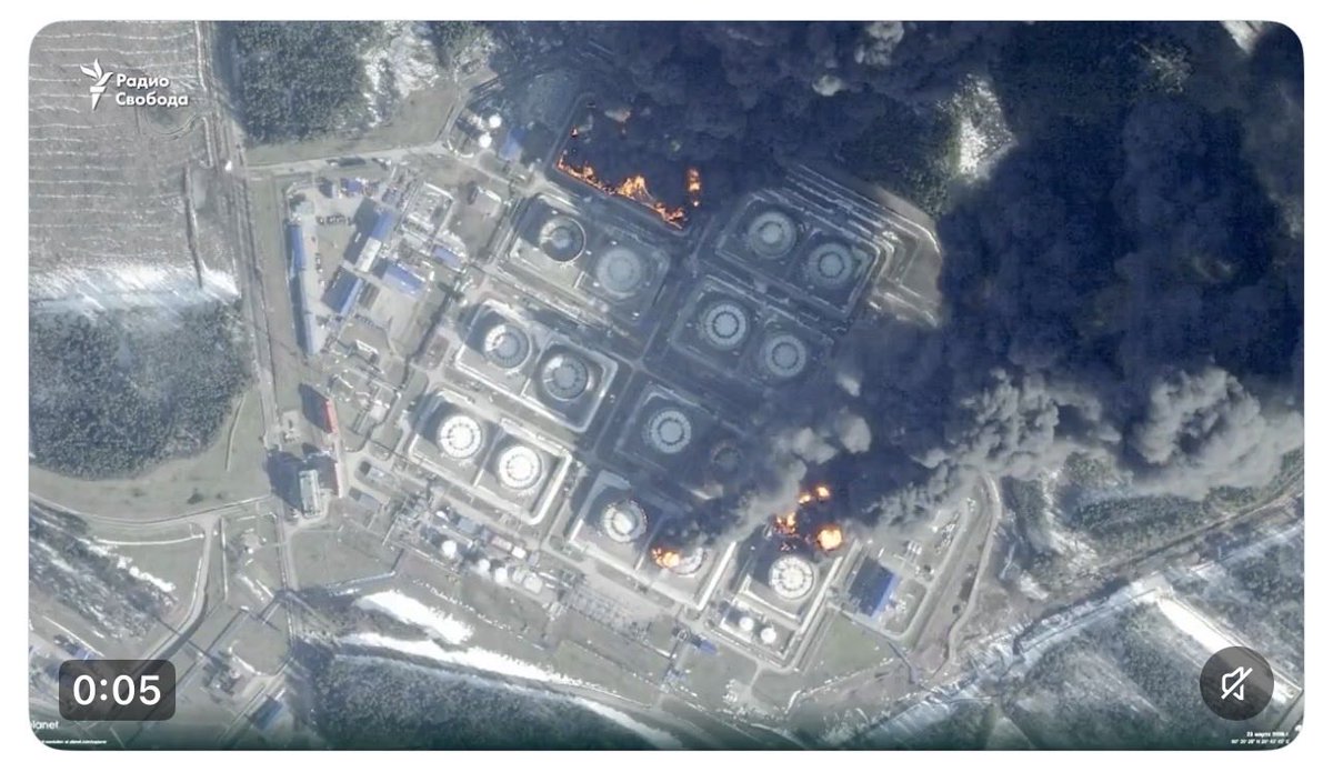 M. Sıddık Yıldırım (محمد صديق يلدرم) 🇹🇷 tweet media