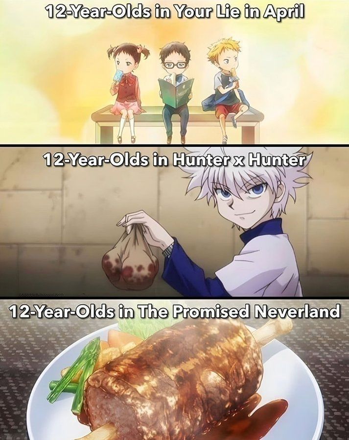 Hunter x Hunter Perfect Shots tweet media