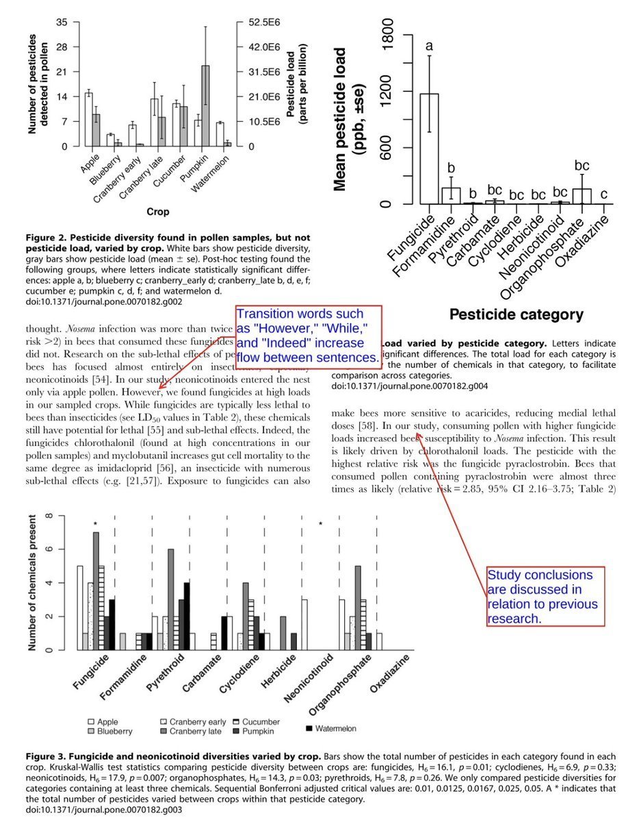 Razia Aliani tweet media