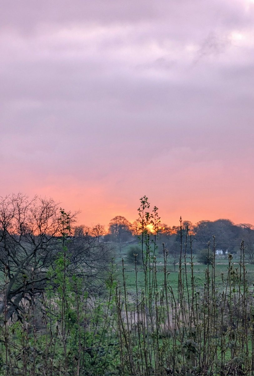 NotBadForHerAge's tweet image. It's not the prettiest of sunrises, but it's still the dawn of a new day &amp;amp; it's up to each one of us to make the most of it 🥰 #sunrise #goodmorning