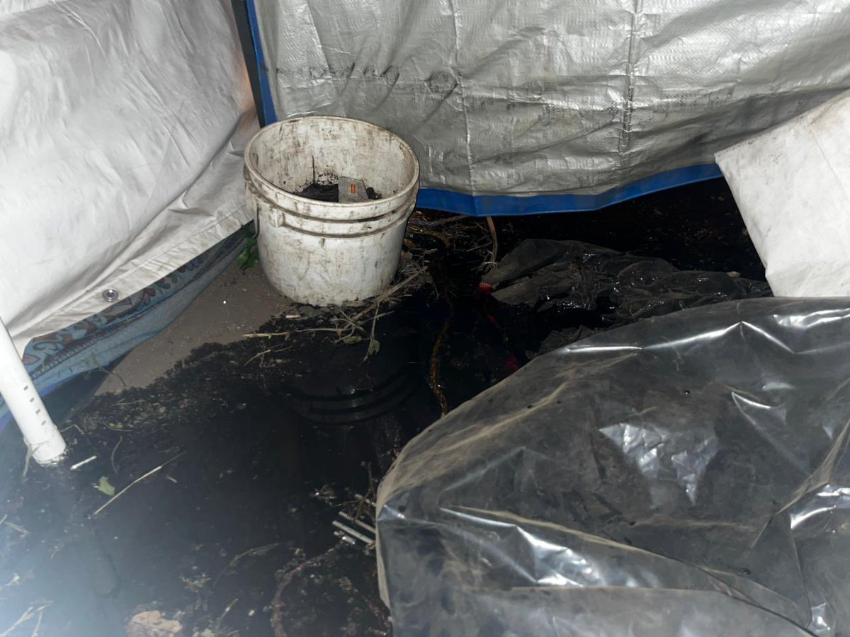 Akademia 🇵🇸🌋 tweet media