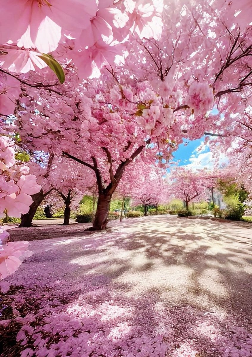 Eva Duna tweet media