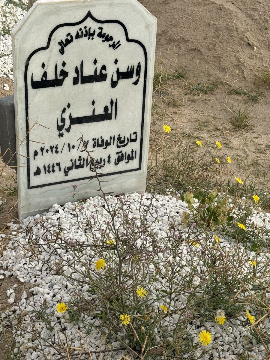 هبه م. السعيدي tweet media