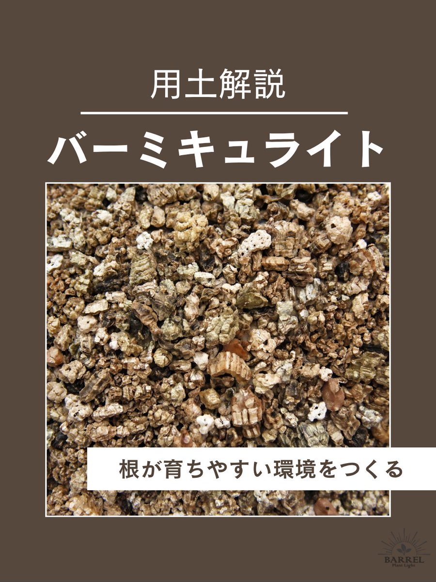 barrel_co_ltd's tweet image. バーミキュライトは、保水性・保肥性に優れた軽い用土。水分や養分を保持しながら、根が育ちやすい環境を整えます。

無菌性が高く、種まきや挿し木にもよく使われる素材。
培養土に混ぜることで、土のバランスを整える役割もあります。

#BARREL #観葉植物 #バーミキュライト #植物のある暮らし