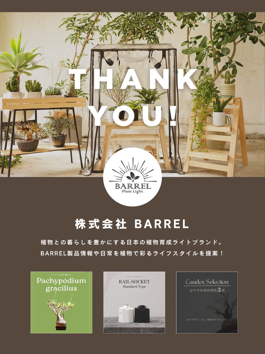 barrel_co_ltd's tweet image. バーミキュライトは、保水性・保肥性に優れた軽い用土。水分や養分を保持しながら、根が育ちやすい環境を整えます。

無菌性が高く、種まきや挿し木にもよく使われる素材。
培養土に混ぜることで、土のバランスを整える役割もあります。

#BARREL #観葉植物 #バーミキュライト #植物のある暮らし