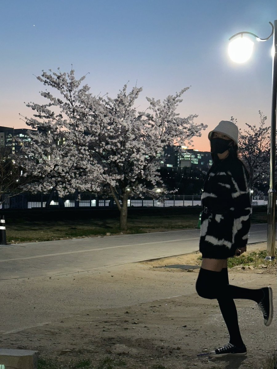 지안/Jian tweet media