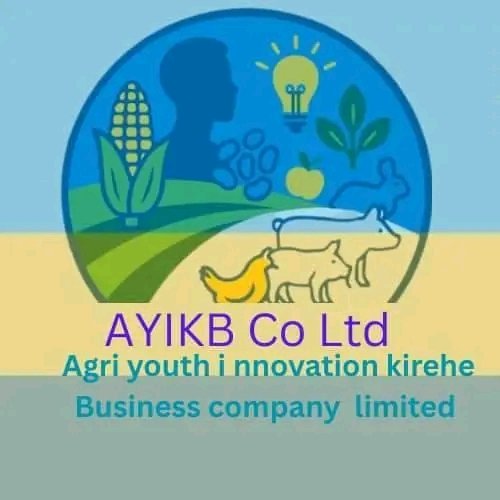 AYIKBKIREHE's tweet photo. Agriculture is the future—and youth are leading it 💡🌿
AYIKB is driving innovation in farming across Kirehe.
Follow us for more!
#AgriYouth #SmartFarming https://t.co/BwjQB5zb6G
