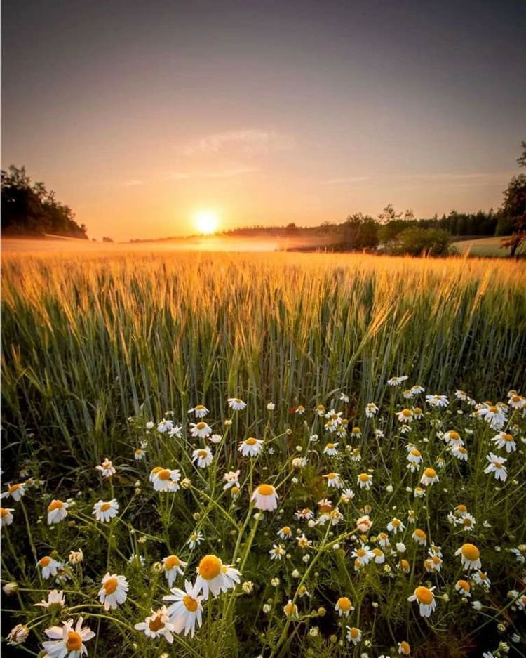 Loeka02's tweet image. ☀️ A New Dawn ☀️

"Wake up to the light of a brand new day,
Where old worries softly fade away.
With every sunrise, hope begins,
A fresh start where everyone wins.

Make today a beautiful one!" 

✨☕️🌱
#GoodMorning #NewDay #FreshStart #XCommunity