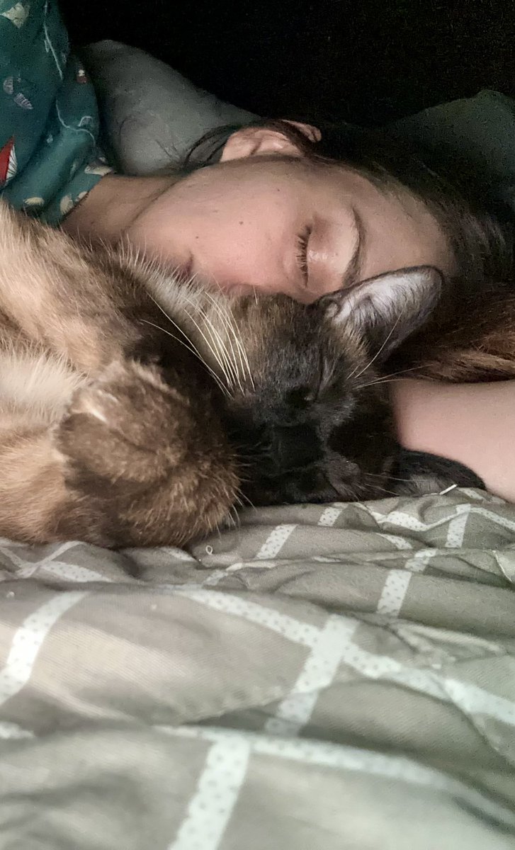 SpaceKittyXD's tweet photo. Me: On my way to sleep from doing the same thing but for 16 hours total today for my 2 jobs because 40hrs/week and 1 job isn’t enough to keep them learing and mating apparently 😑 Seriously I’m over the tax thing. Let me keep my money. https://t.co/EqQcNYHdYa