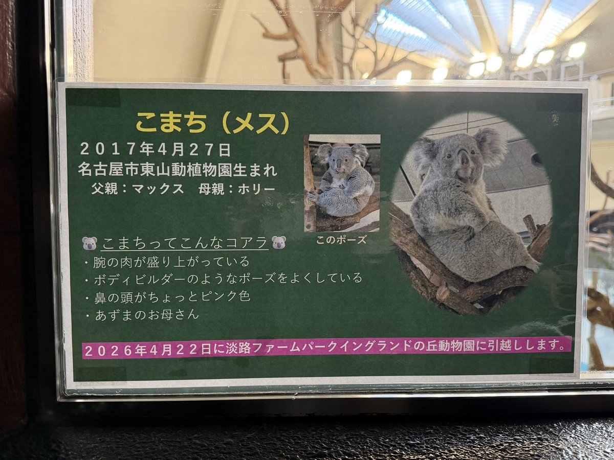 🎀 莉里 🐨 tweet media