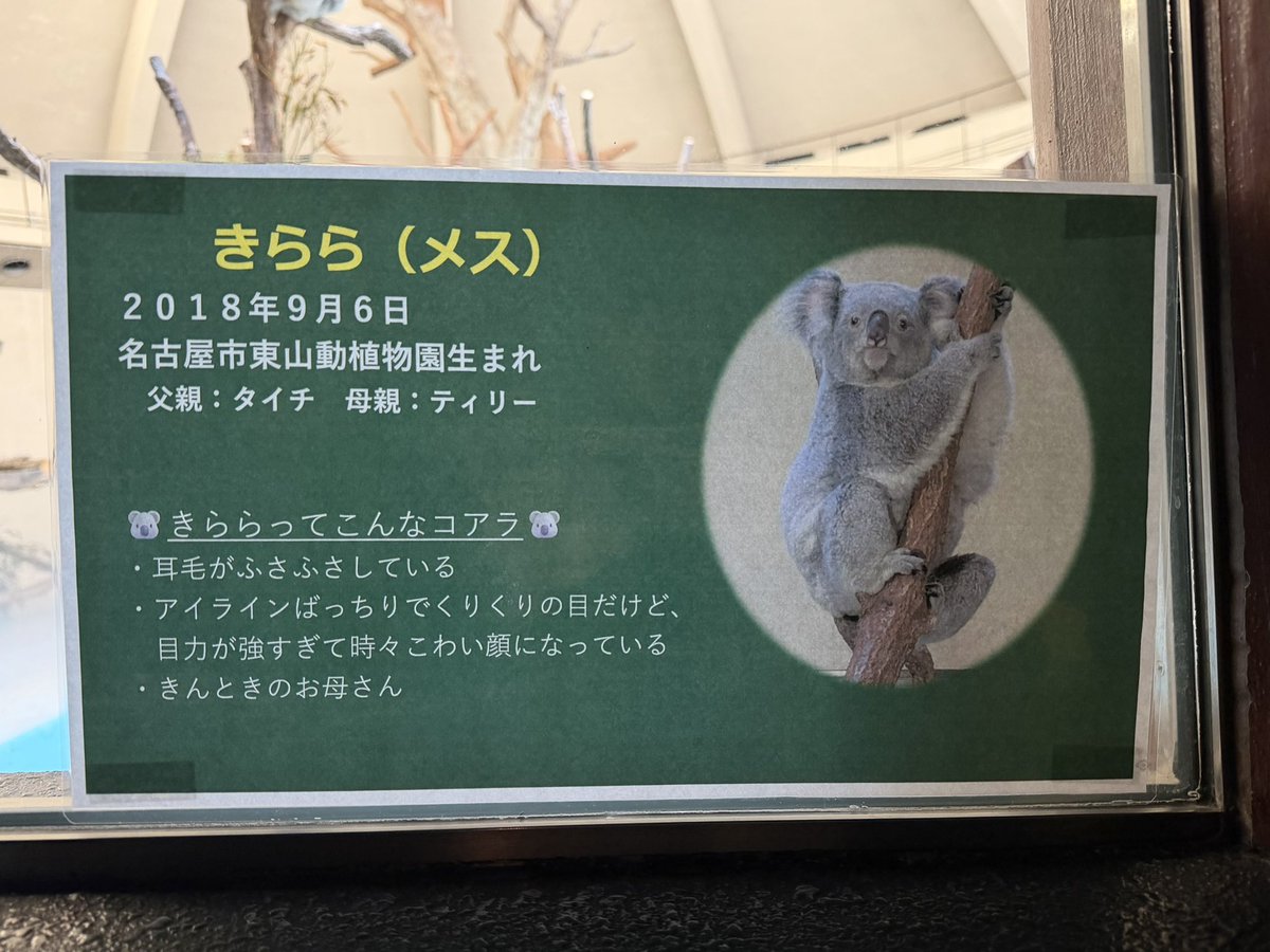 🎀 莉里 🐨 tweet media