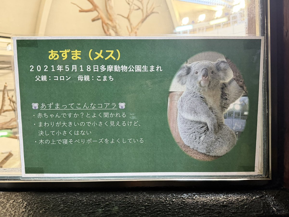 🎀 莉里 🐨 tweet media