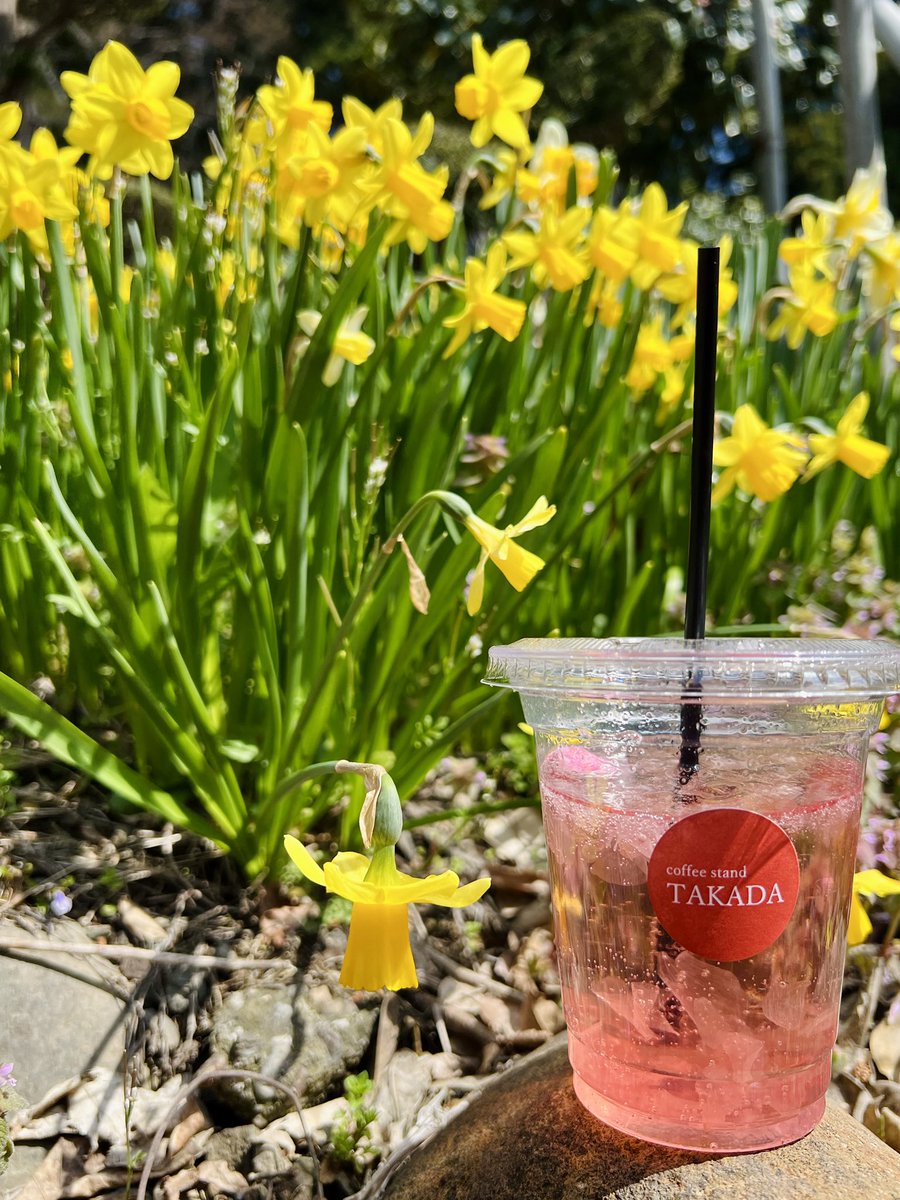 yuuki（ゆうき） tweet media