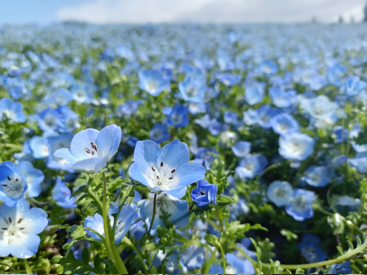 かんさん tweet media