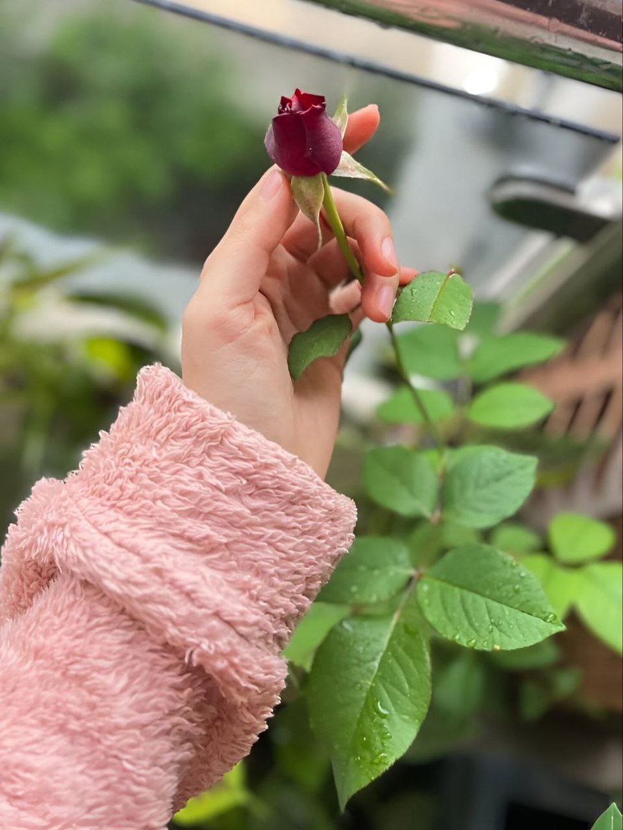 ༺ 𝑵𝒆𝒍𝒍𝒚 ༻ tweet media