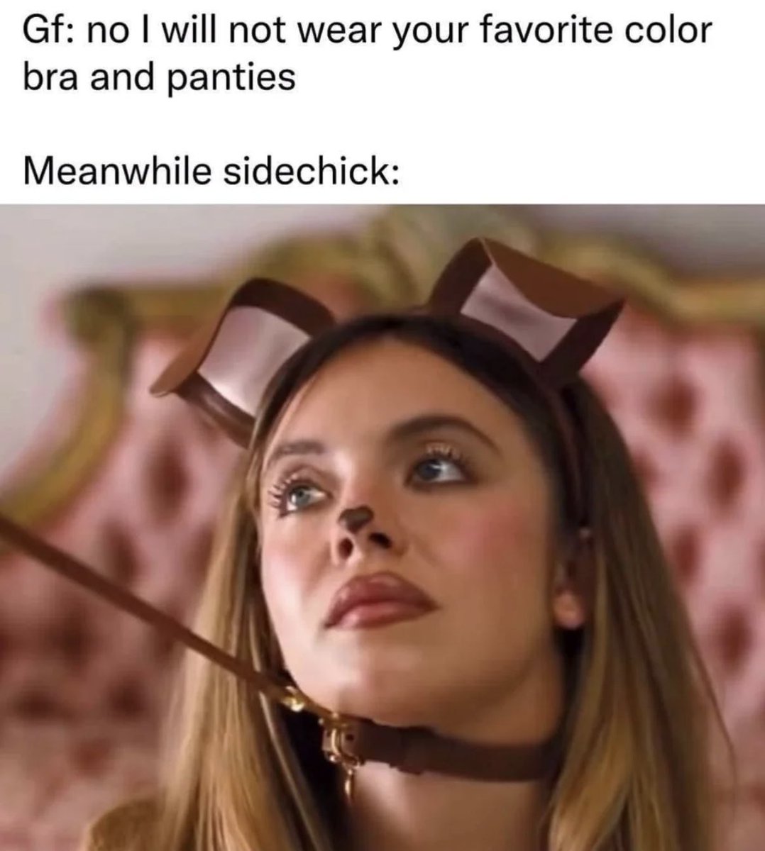 Memes_point tweet media