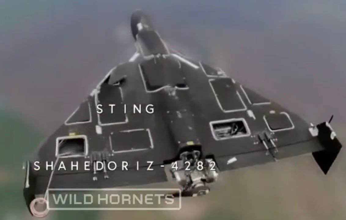 Special Kherson Cat 🐈🇺🇦 tweet media