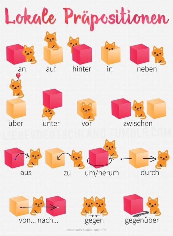1PortionDeutsch's tweet image. #Deutschlernen #Grammatik #LearnGerman #Deutsch #German:
Lokale Präpositionen

Katzen im Internet - immer ein Renner!
#CatsOnTwitter #CatsOfX

(Quelle: liebesdeutschland.tumblr.com)