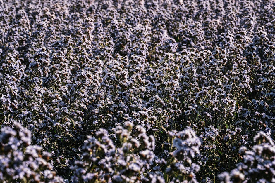 Jeremy Carlson tweet media