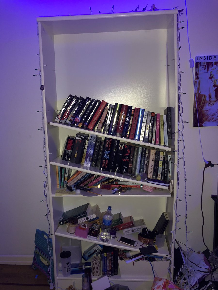 𝑒𝓁𝒾𝓈𝑒 ˚ ༘♡⋆˚ 𝑜𝒸𝑒𝒶𝓃 𝒷𝓁𝓋𝒹 tweet media