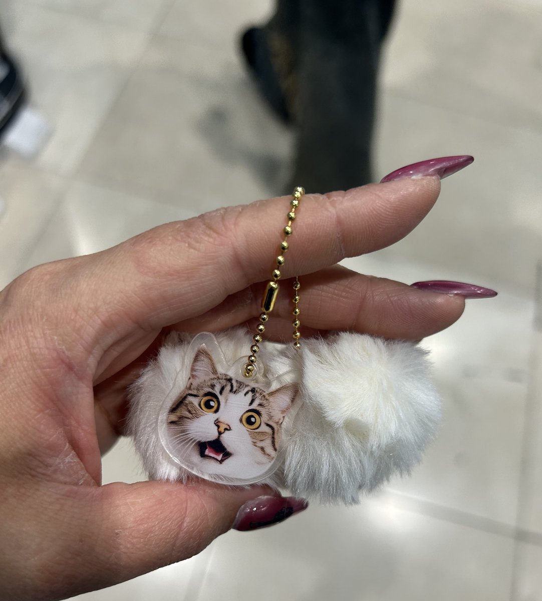 めめ🐿 tweet media