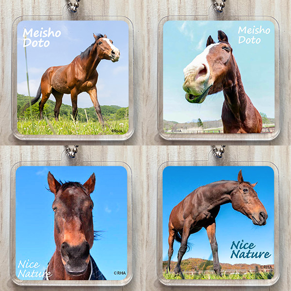 認定NPO法人引退馬協会／The Retired Horse Association tweet media