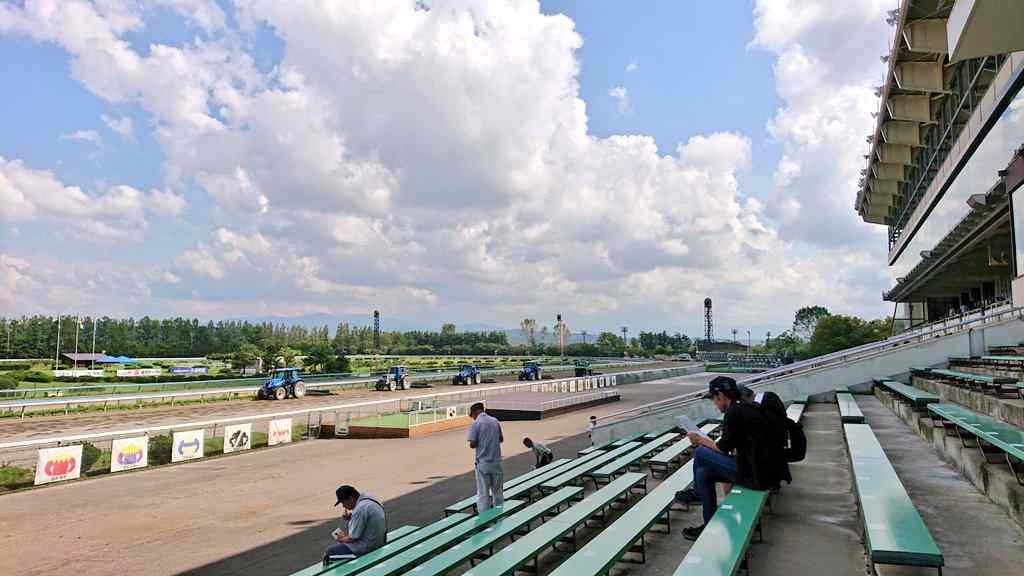 あらいちゅー(馬主で大家で占い師) tweet media