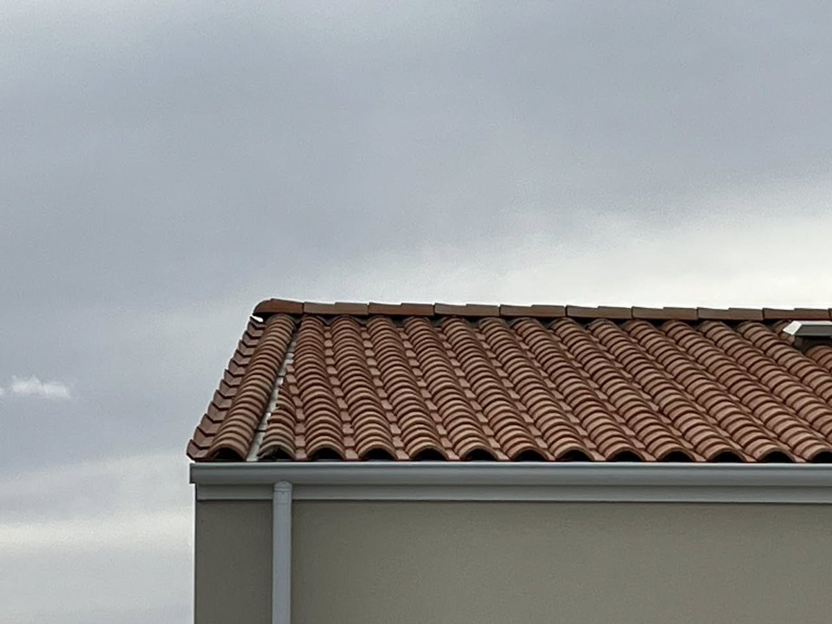 ⭐️NosArtisansOntDuTalent ⭐️ tweet media