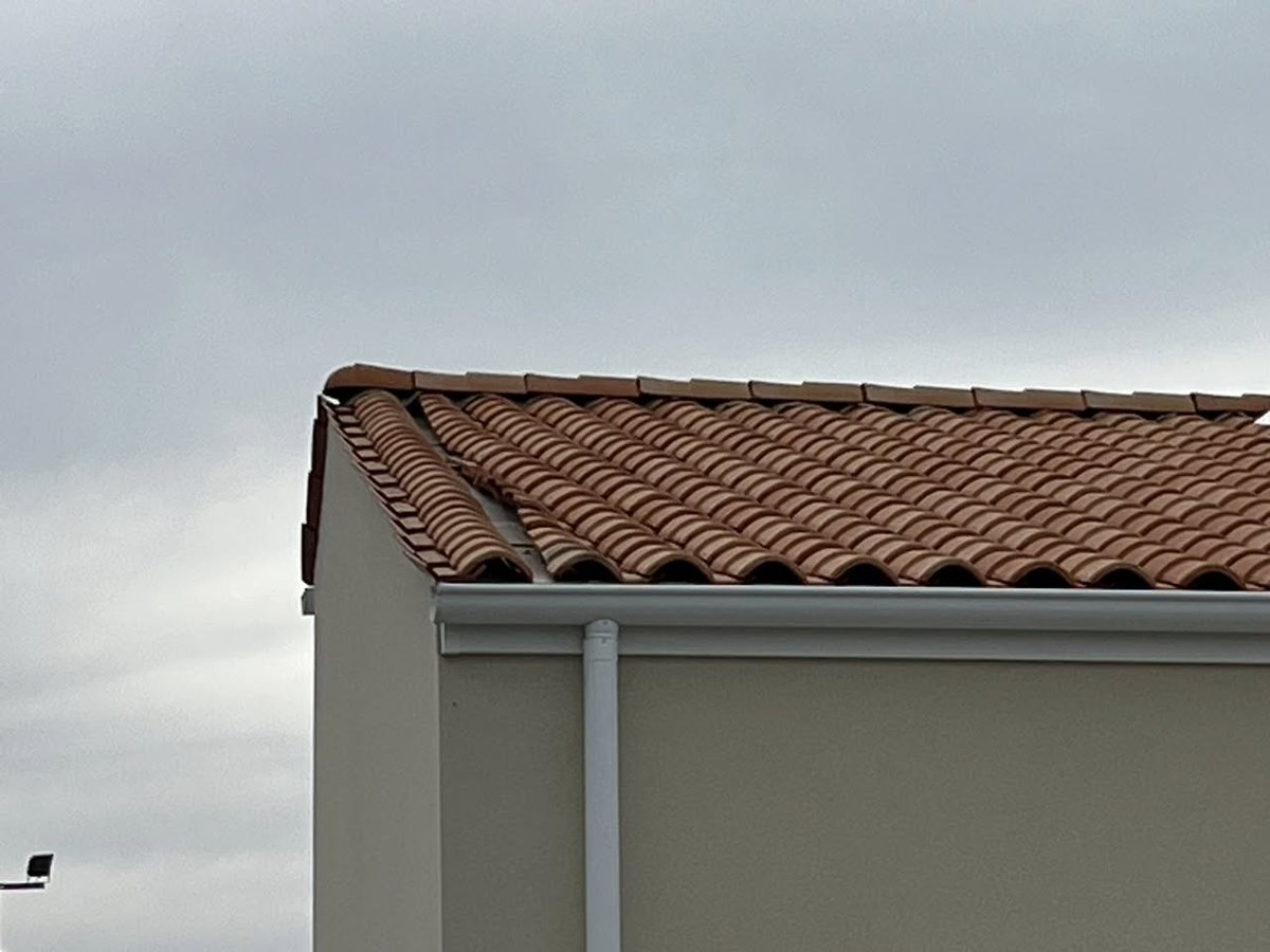 ⭐️NosArtisansOntDuTalent ⭐️ tweet media